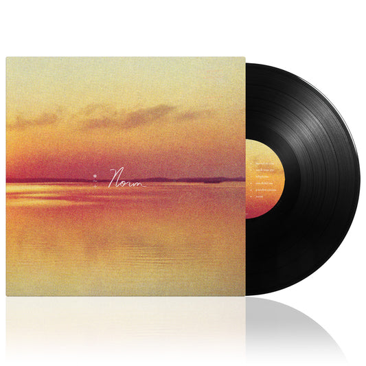 Andy Shauf (Norm) Black Vinyl