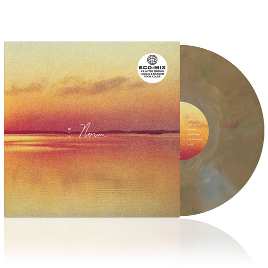 Andy Shauf (Norm) Eco Mix Vinyl